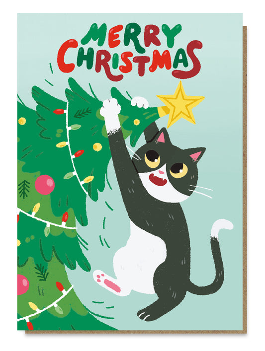 CATNIP009-Stormy Knight-Star Prize-Xmas Card-
