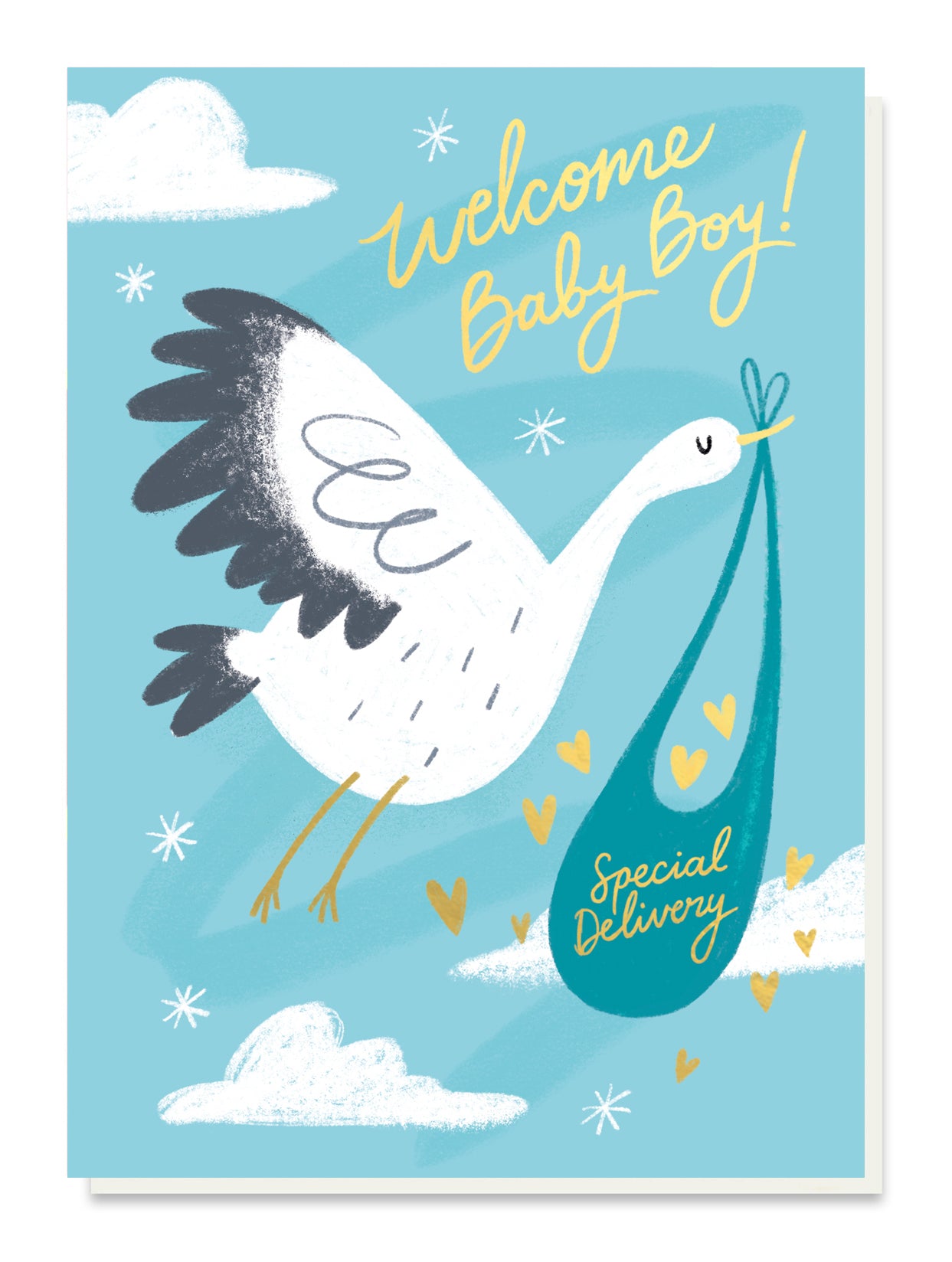 FEELS032-Stormy Knight-Special Delivery Boy-Card-