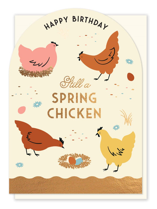 SHELBY007-Stormy Knight-Spring Chicken-Card-Shelby