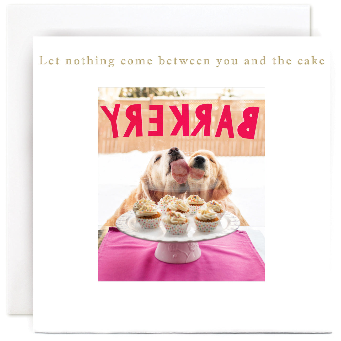 B226-Susan O'Hanlon-Dogs And Cupcakes-Card-Classic