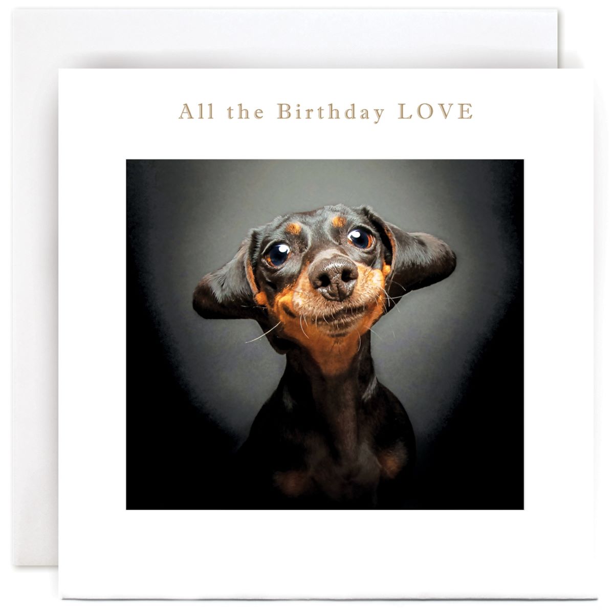 B232-Susan O'Hanlon-All The Birthday Love-Card-