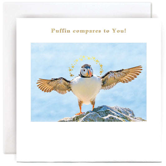 B234-Susan O'Hanlon-Puffin Compares To You!-Card-Classic