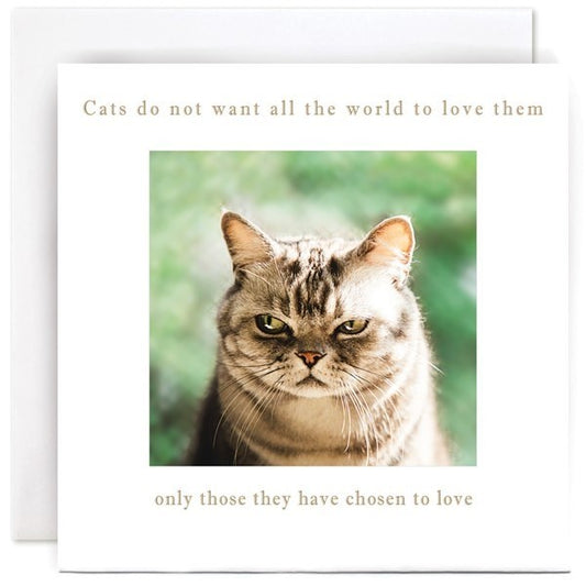 B239-Susan O'Hanlon-Grumpy Cat-Card-