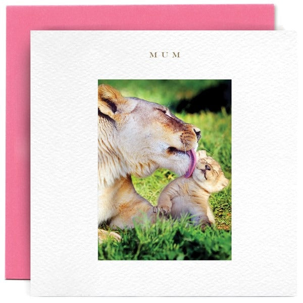 MM1502-Susan O'Hanlon-Lioness & Cub Mum-Card-