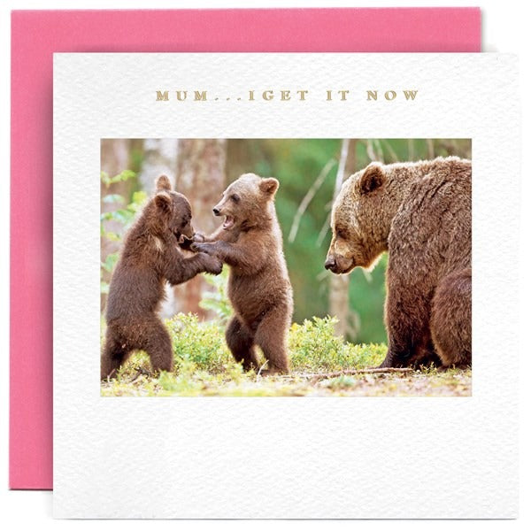 MM1809-Susan O'Hanlon-Bear And Cubs Mum...I Get It Now-Card-