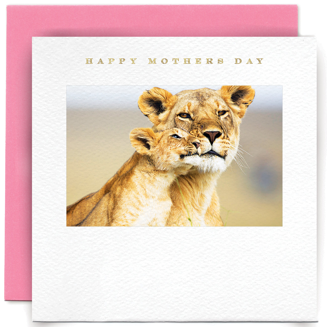 MM2101-Susan O'Hanlon-Lioness And Cub Happy Mothers Day-Card-