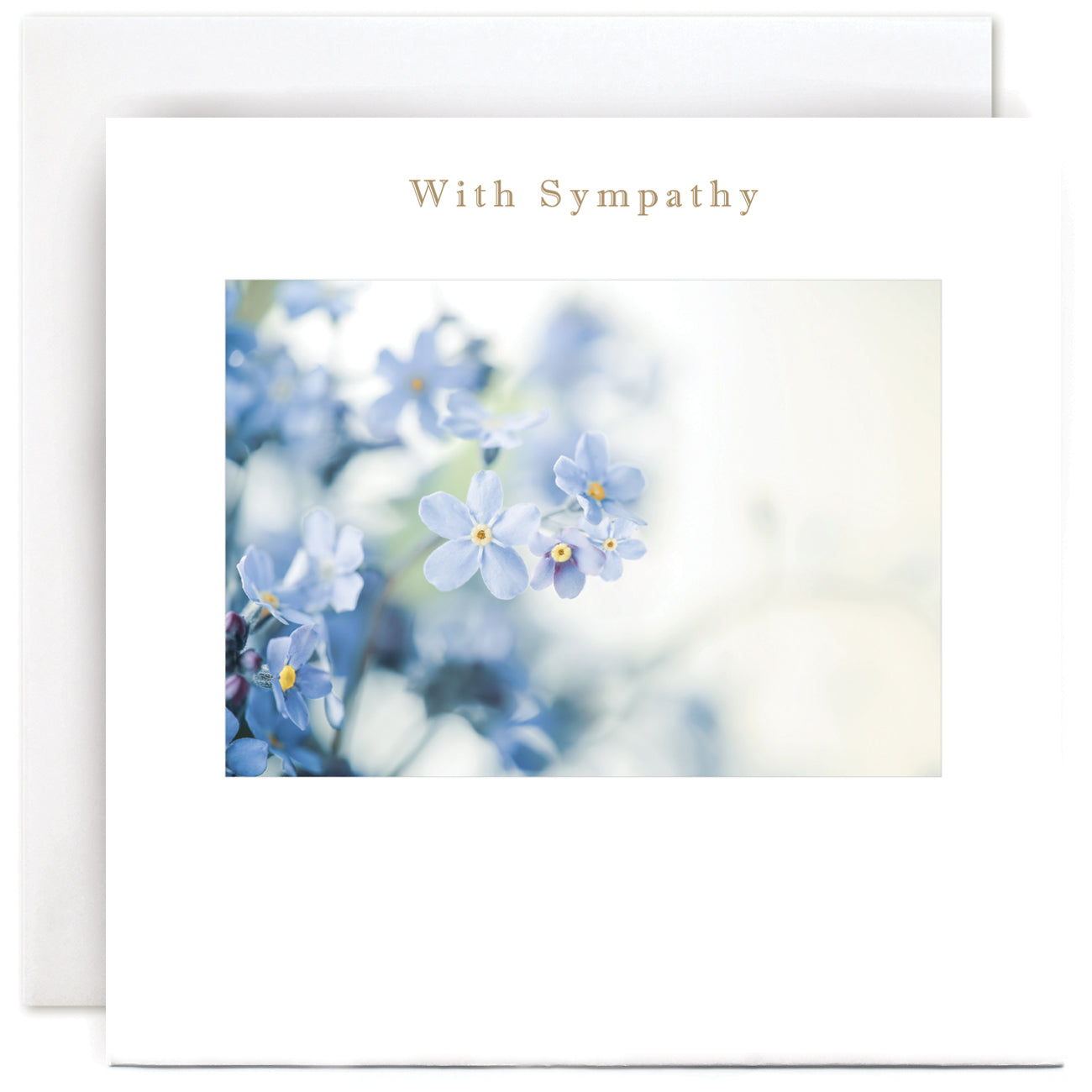 S040-Susan O'Hanlon-Forget Me Not-Card-Classic