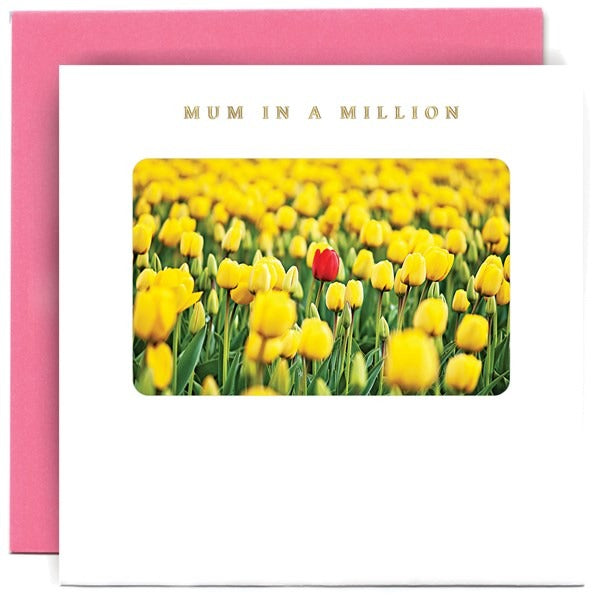 TE2216-Susan O'Hanlon-Yellow Tulips With One Red Mum In A Million-Card-