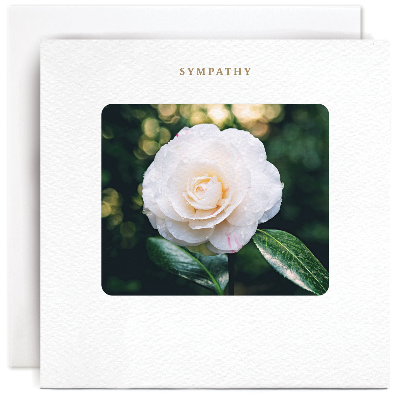 TESY001-Susan O'Hanlon-Sympathy-Card-