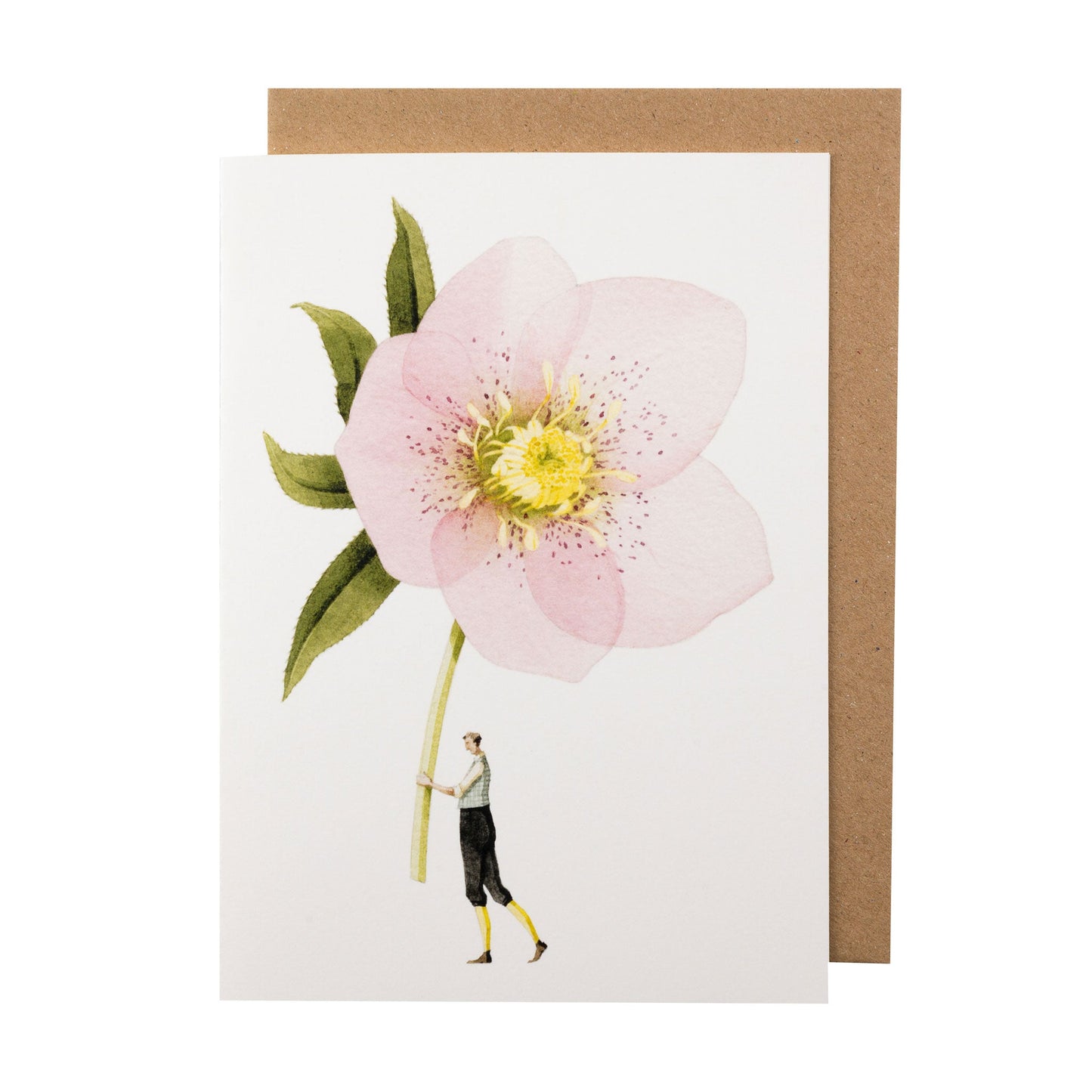 GC056-Laura Stoddart-Pink Helebore-Greeting Cards-Card