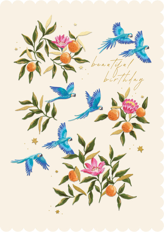 EMI05K-Meraki-Birds-Card-Midnight Garden