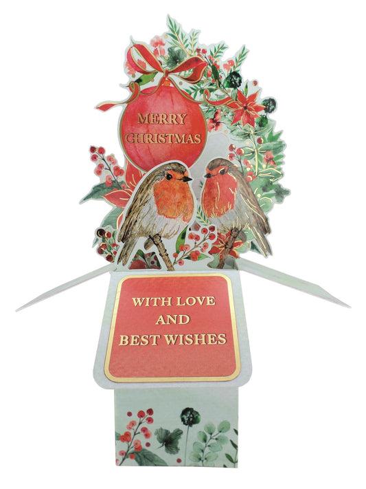 XCU004-Second Nature-Robins 3D-Xmas Card-Paper Sculpture