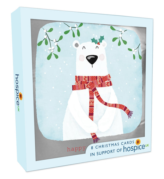 XSA017-Second Nature-Wonderful Time Of Year 8Pk Single Design-Xmas Card Pack-Hospice Uk