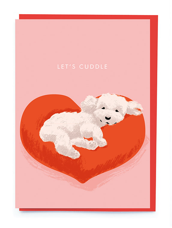 NL273-Noi-Lets Cuddle Poodle Vday-Card-