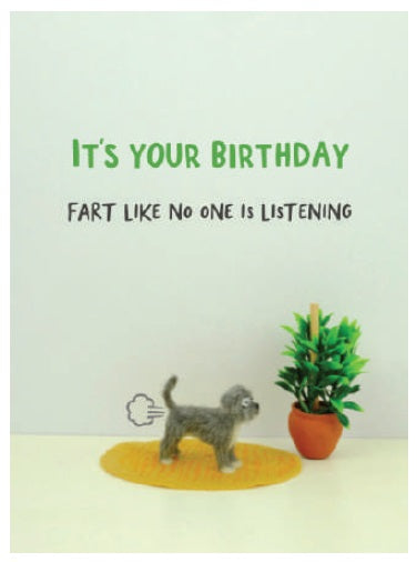 FB003-Bold & Bright-It'S Your Birthday-Card-Furballz