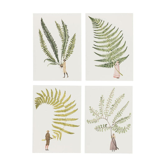 FF001-Laura Stoddart-Fabulous Ferns-A6 Notecard Set 8pk 4 designs