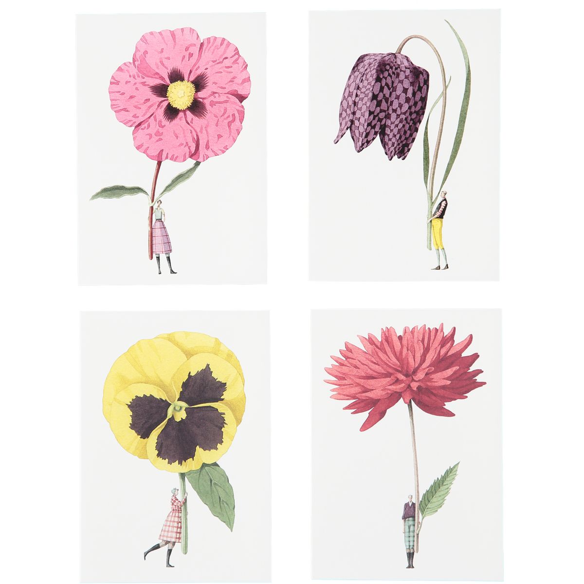 IB001B-Laura Stoddart-Set 2-In Bloom-A6 Notecard Set 8pk 4 designs