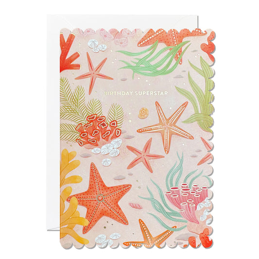 C290-Ricicle Cards-Birthday Superstar-Card-