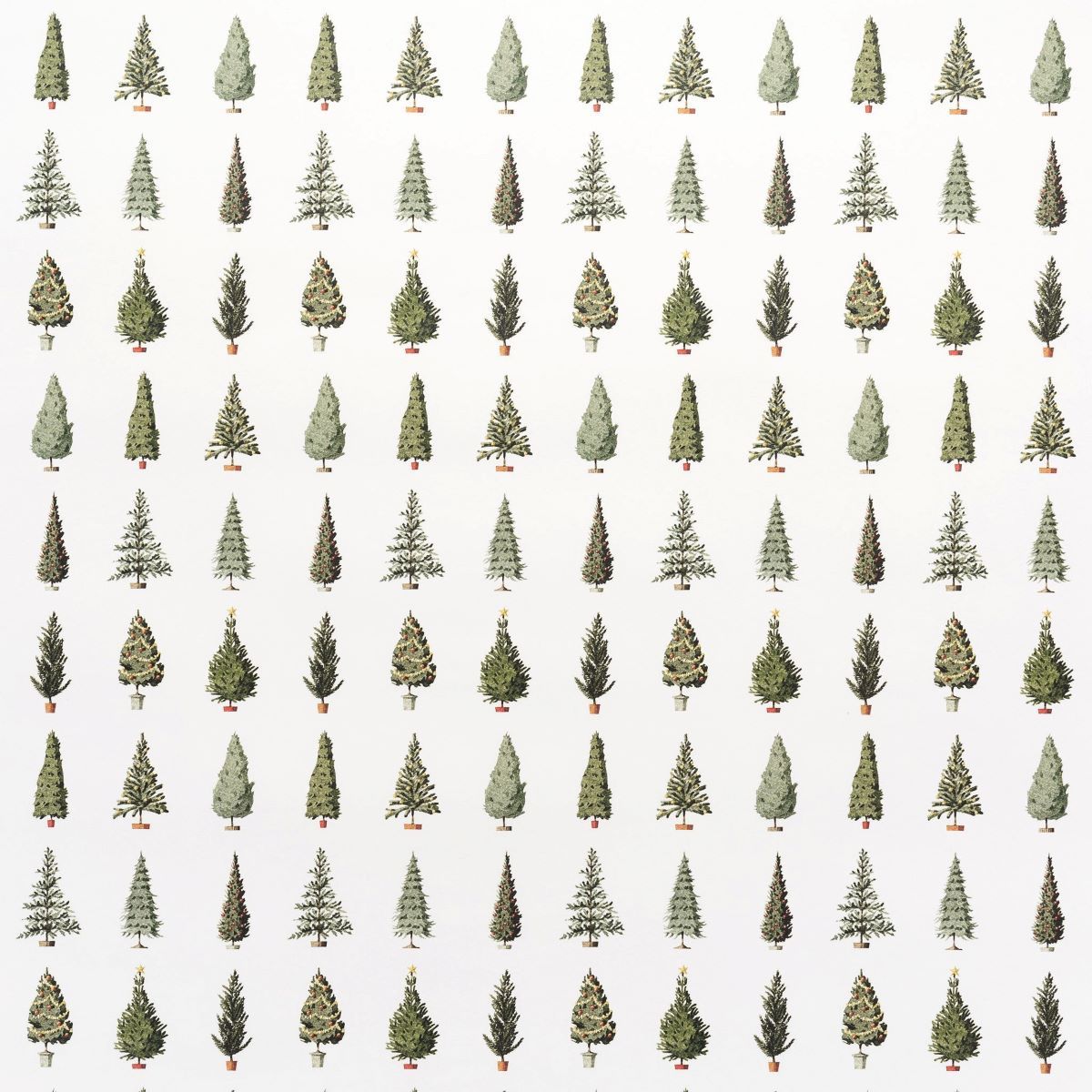HC008-Laura Stoddart-Christmas Trees-Xmas Wrap-Happy Christmas
