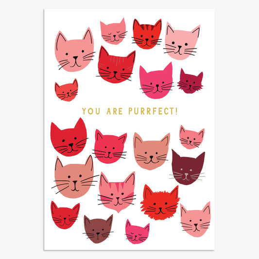 VLN016-Think of Me-You Are Purrfect-Card-