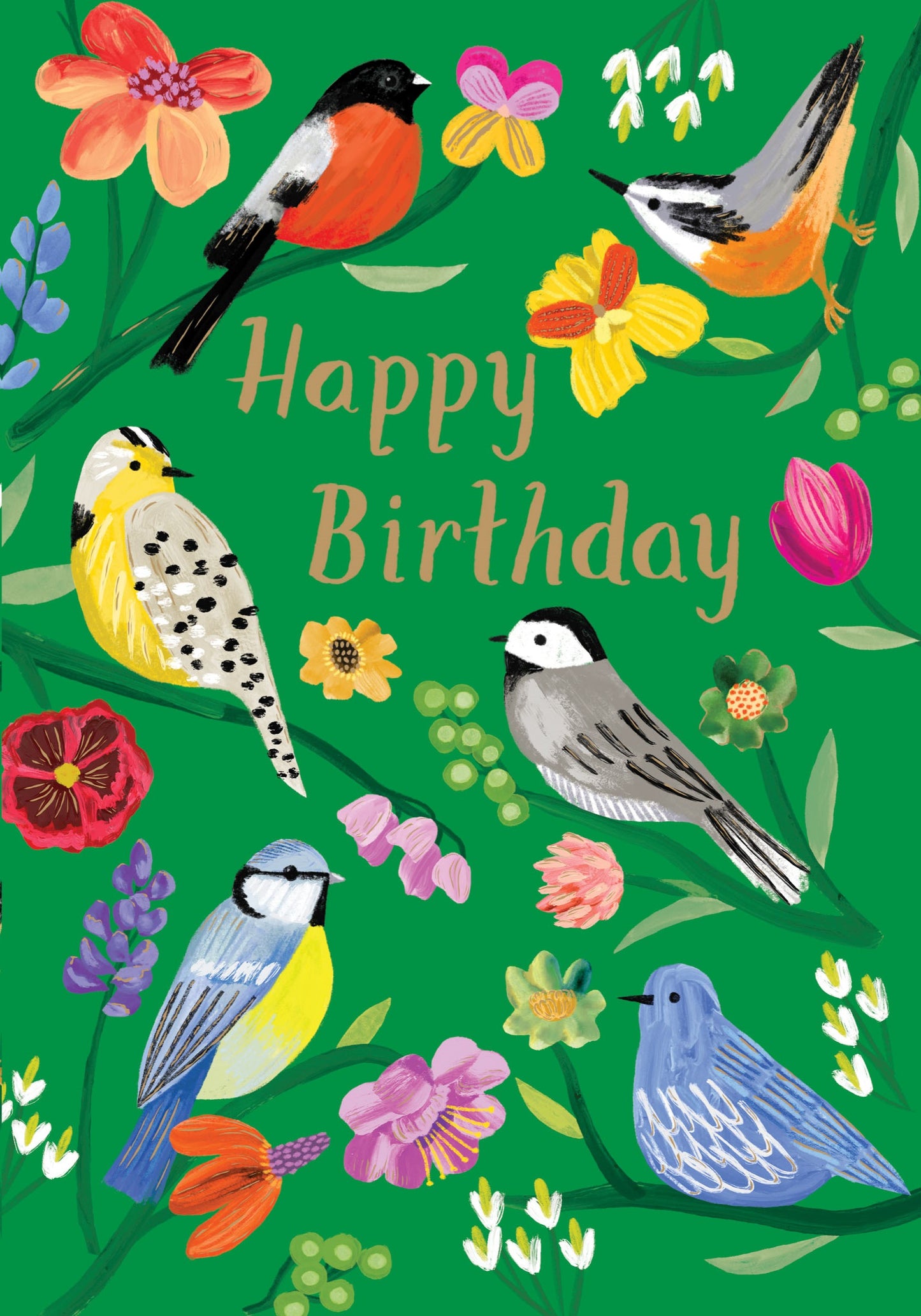 GC2390-Roger La B-Birdhaven Birthday Greeting Card-Card-Standard Birthday