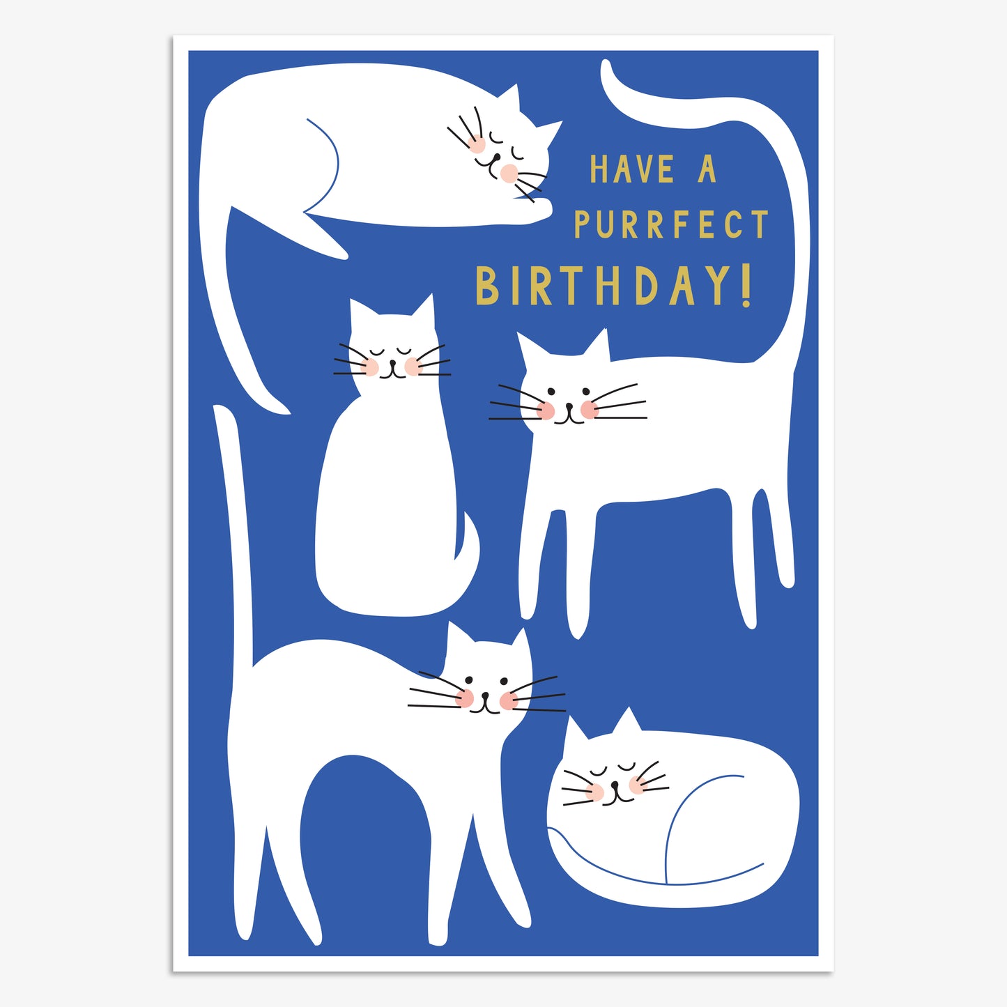 PV033-Think of Me-Have A Purrfect Birthday-Card-Pura Vida