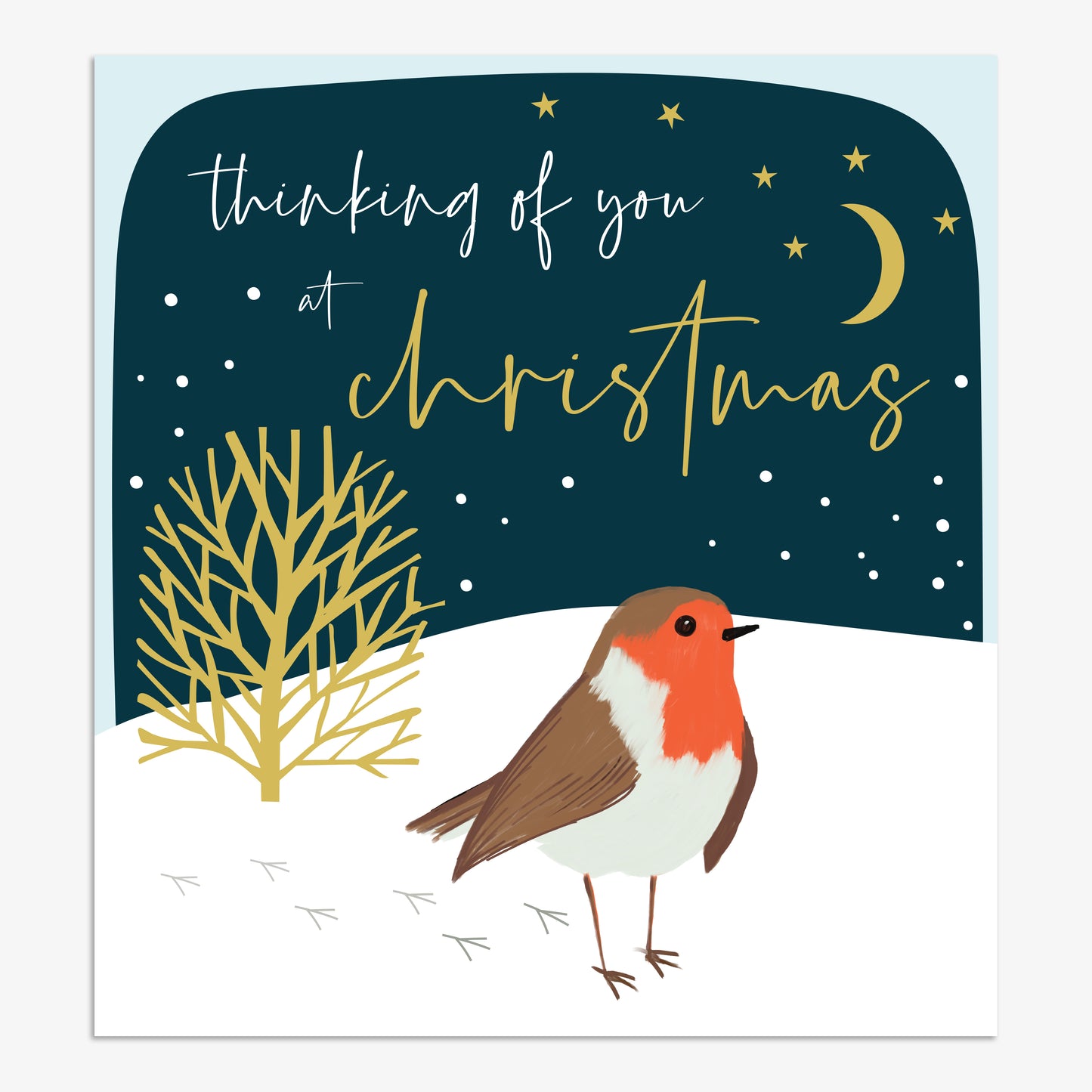 EVX034-Think of Me-Thinking Of You-Xmas Card-Evergreen