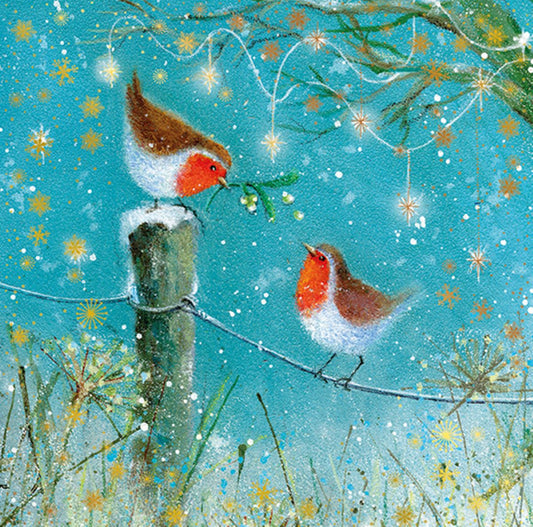 9653500120-Editor Groupe-Red Robins-Xmas Card-Sno
