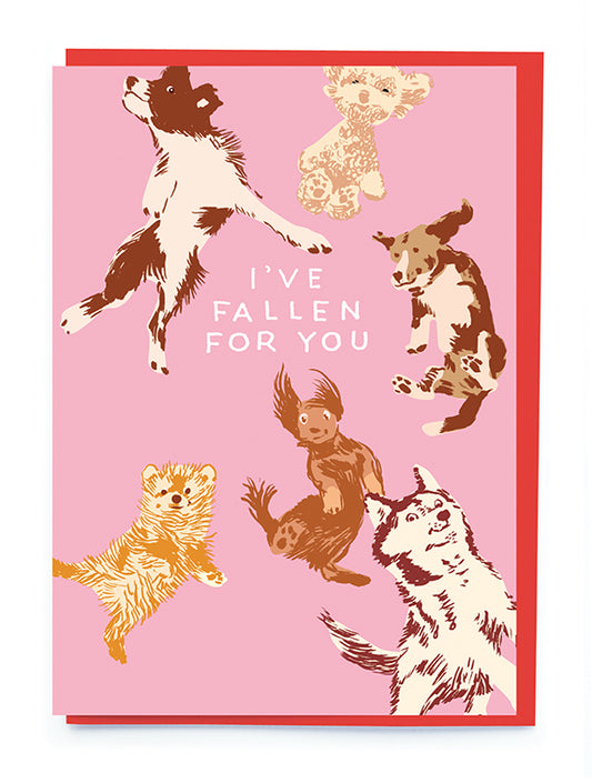 NL270-Noi-Dogs Falling Vday-Card-