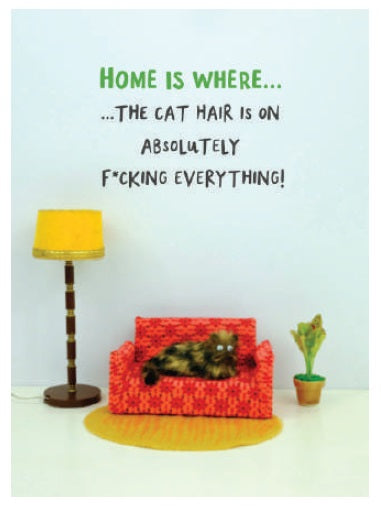 FB005-Bold & Bright-Home Is Where The Cat Hair Is-Card-Furballz