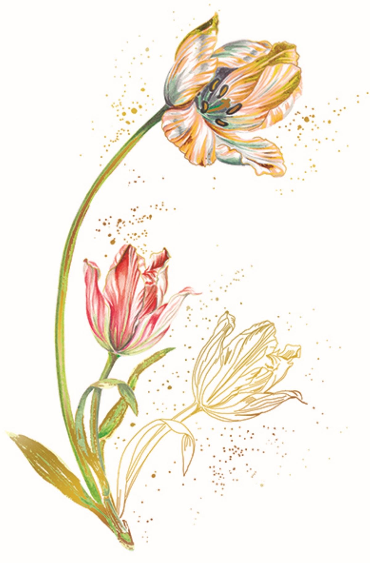 9956560081-Editions du Desastre-Tulip-Card-Concept Carnet De Couleurs