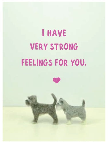 FB013-Bold & Bright-Very Strong Feelings-Card-Furballz