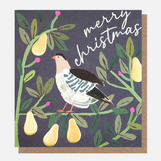 PNT607-Caroline G-Merry Christmas Partridge In Foliage With Gold Pears 8 Pck-Xmas Card Pack-