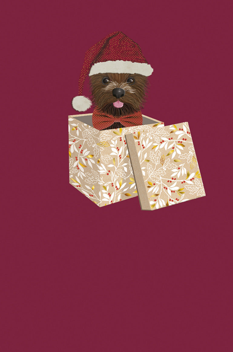 9982800078-Editions du Desastre-Dog In Box-Xmas Card-Icones Fa