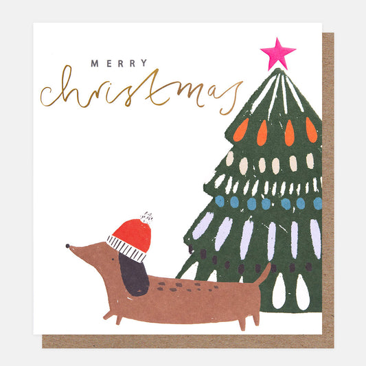 PNT604-Caroline G-Merry Christmas Sausage Dog In Hat With Patterned Tree 8 Pack-Xmas Card Pack-