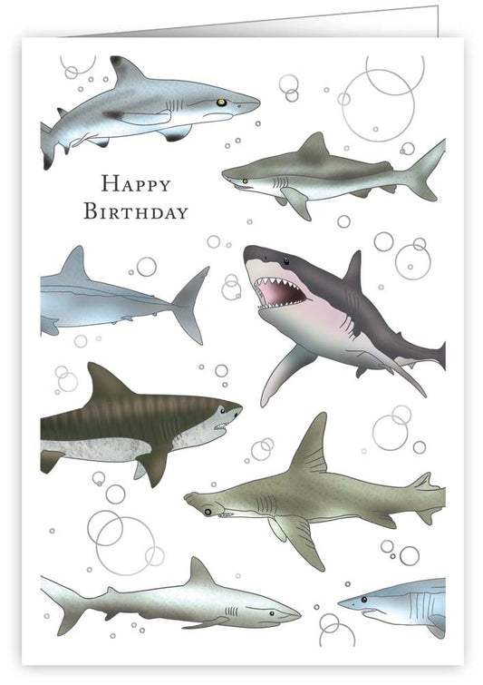 3614-Quire-Happy Birthday Sharks-Card-Mac Classic