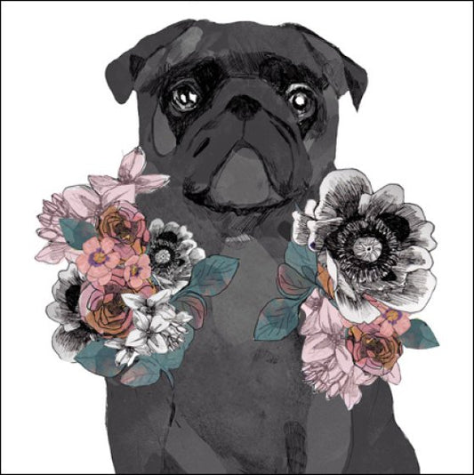 505669-Woodmansterne-D Pip The Pug-Card-Hannah Gilson