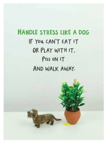 FB028-Bold & Bright-Handle Stress Like A Dog-Card-Furballz