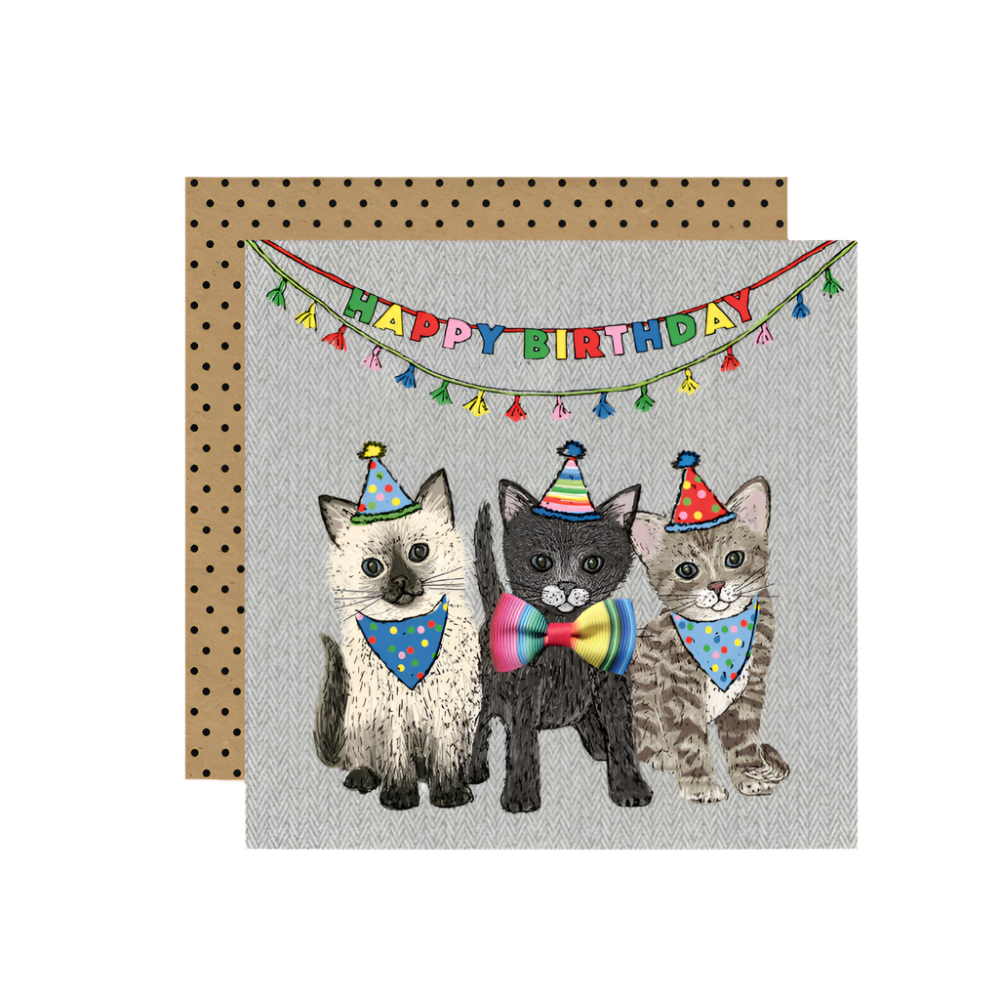 FE002-Apple & Clover-Happy Birthday Cat Party-Card-Fiesta