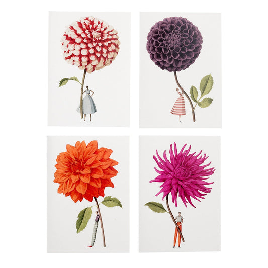 IBD001-Laura Stoddart-Dahlias-In Bloom-A6 Notecard Set 8pk 4 designs