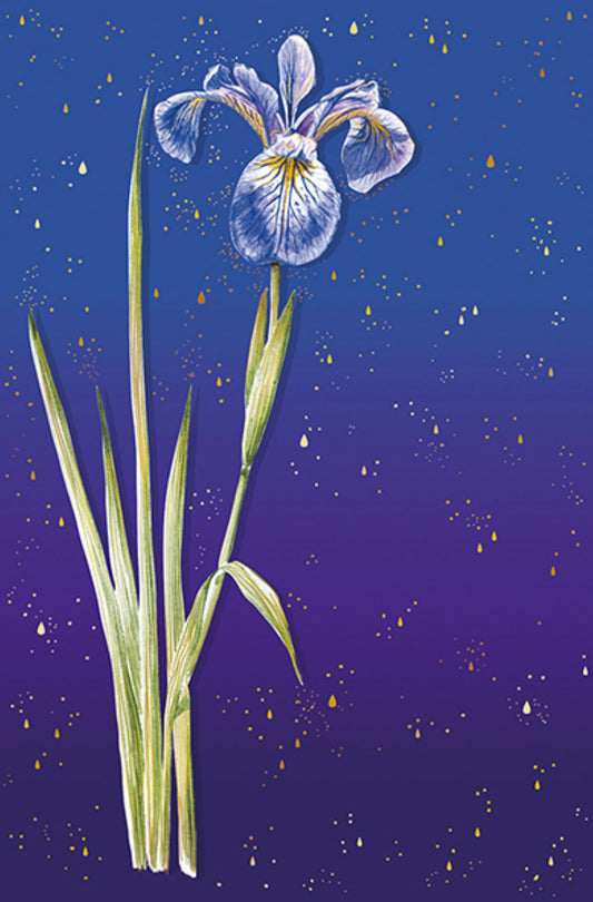 9956560089-Editions du Desastr