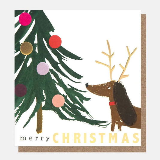 PNT618-Caroline G-Merry Christmas Dog In Antlers By Tree-Xmas Card Pack-8 Pack 1 Design