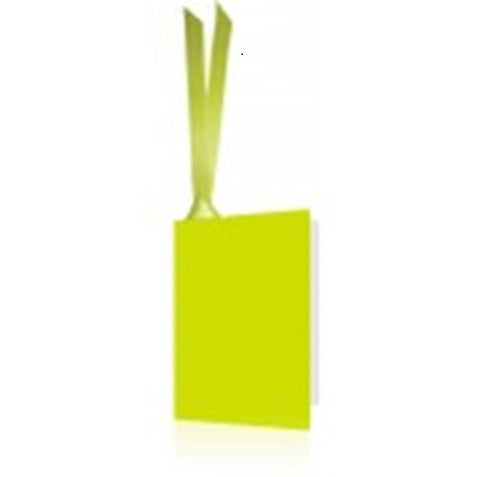 828017 Deva Designs Gift Tags 5pk LIME GREEN