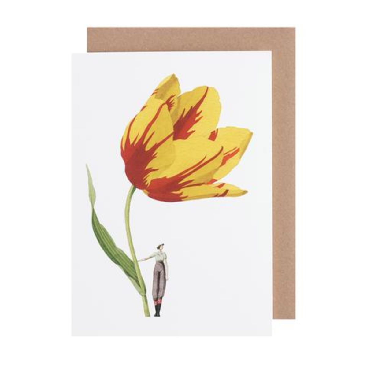 GC022-Laura Stoddart-Tulip-Greeting Cards-Card