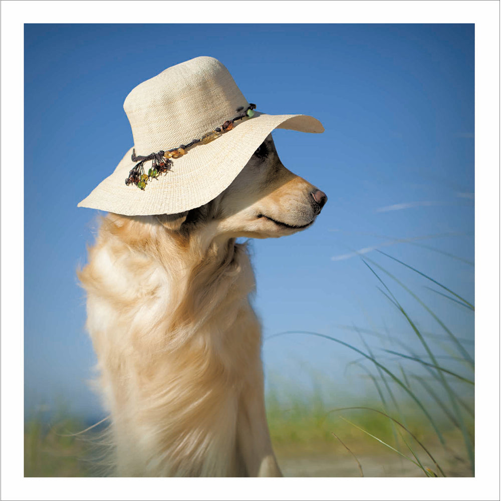 603815-Woodmansterne-D Cardsngl Loose Blank Beach Dog-Card-