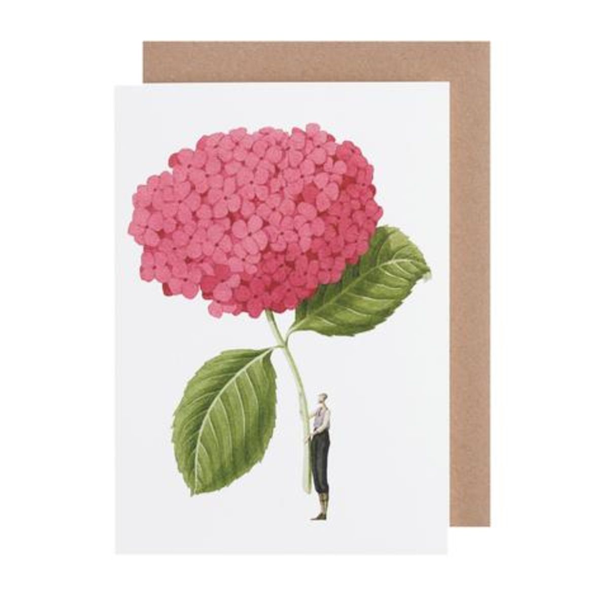 GC015-Laura Stoddart-Pink Hydrangea-Greeting Cards-Card