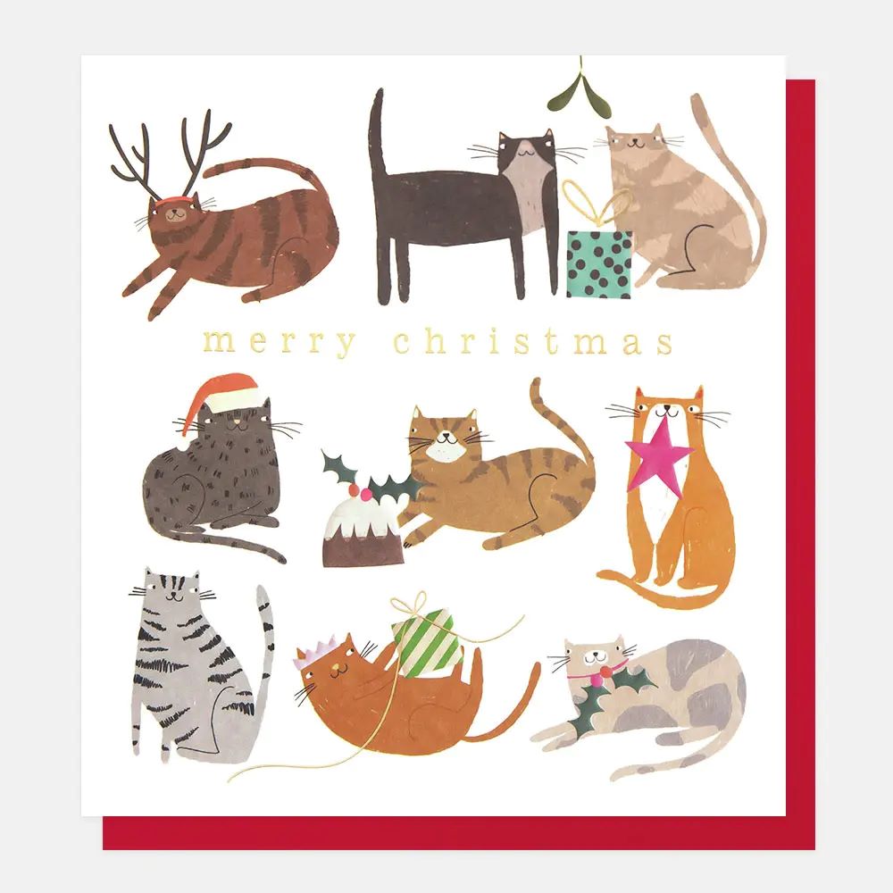 SGX005-Caroline G-Merry Christmas Cats Festive Activities-Xmas Card-