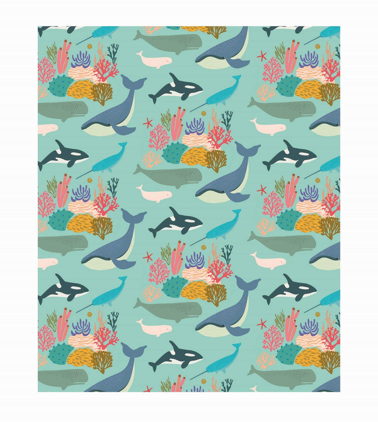 W049-Earlybird-Whales-Wrap-