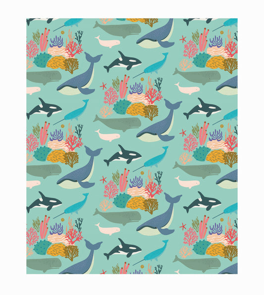 W049-Earlybird-Whales-Wrap-