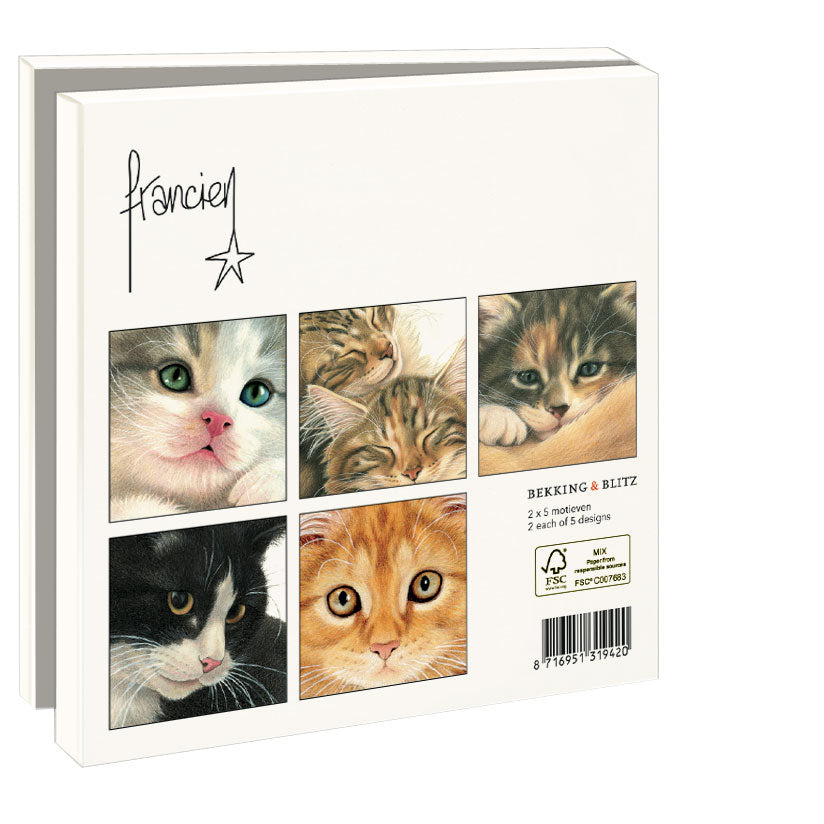 WMC0956-Bekking & Blitz-10 Notecards With Envelopes Various Designs-Notewallet-